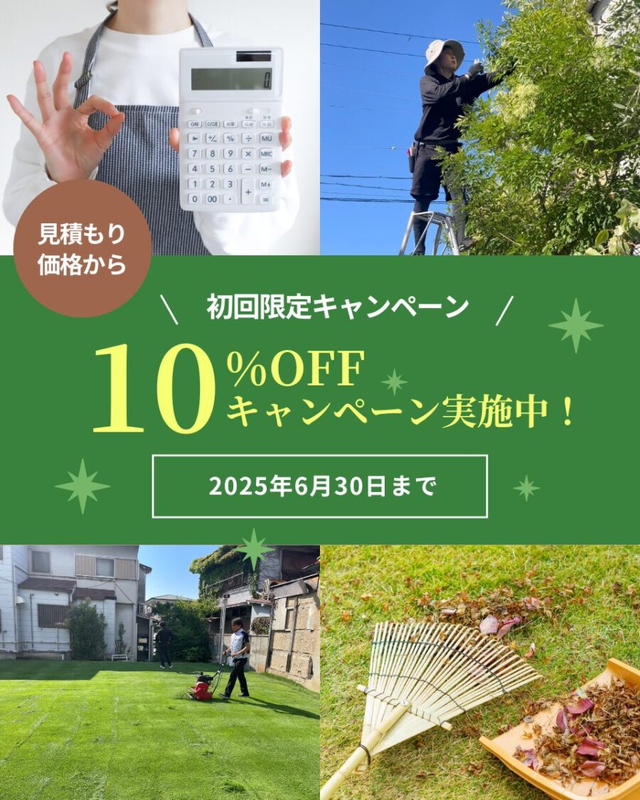 初回限定10%offキャンペーン