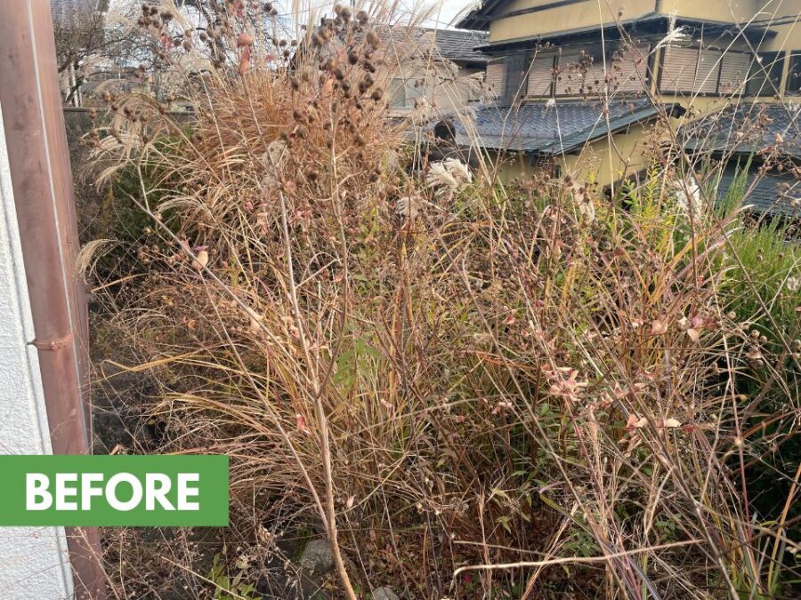 三郷町の空き家の庭の手入れの作業前